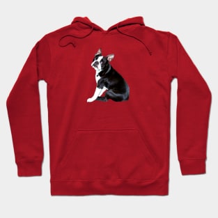 A Boston Terrier - Just the Dog Hoodie